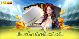 Bí quyết bắt cầu xóc đĩa chuẩn xác nhất